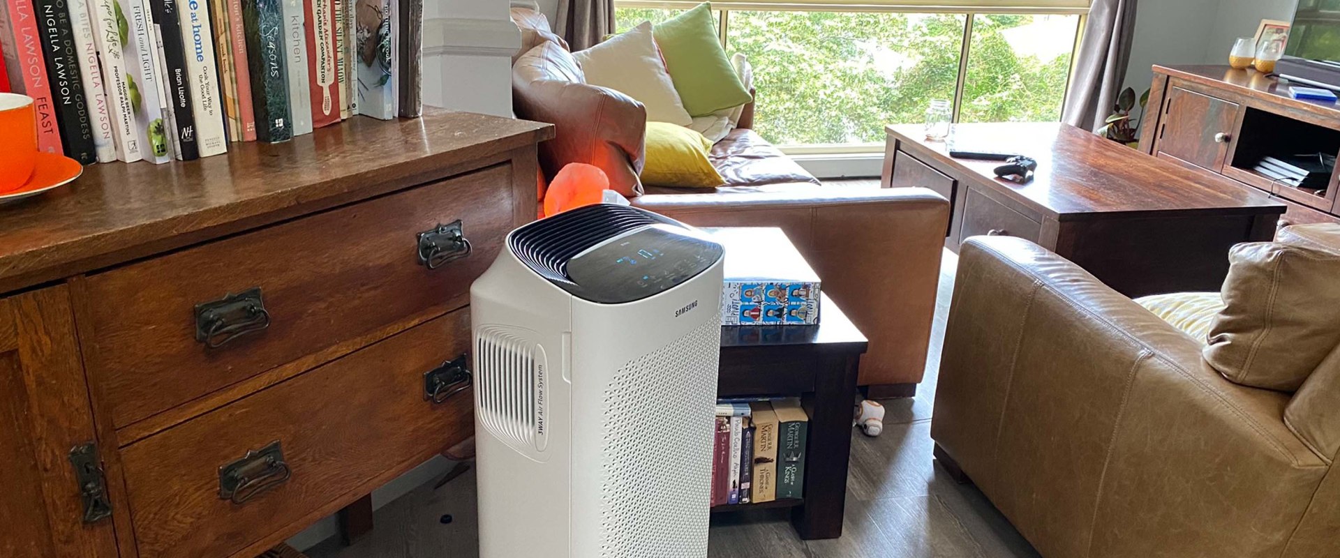 The Air Filter Versus the Air Purifier Showdown